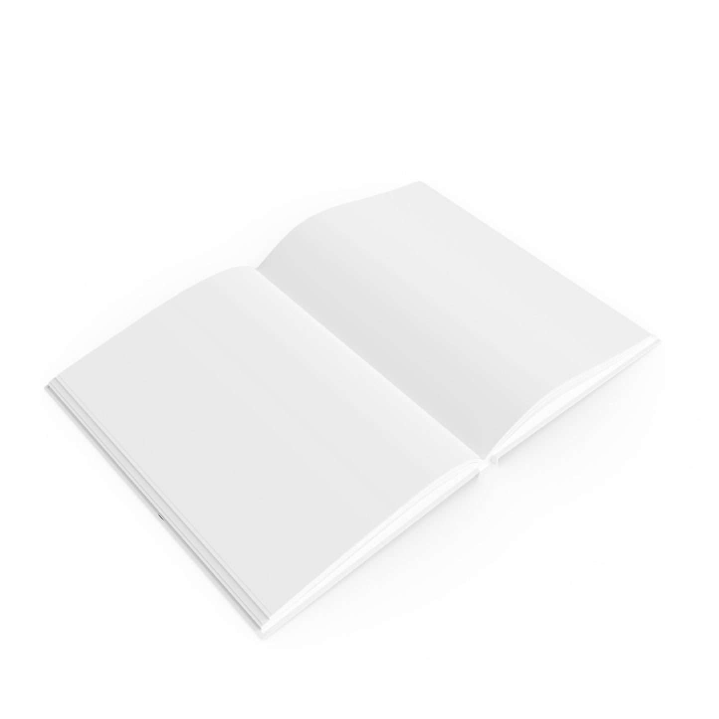 Sassy Hard Backed Journal - You Still Talking?